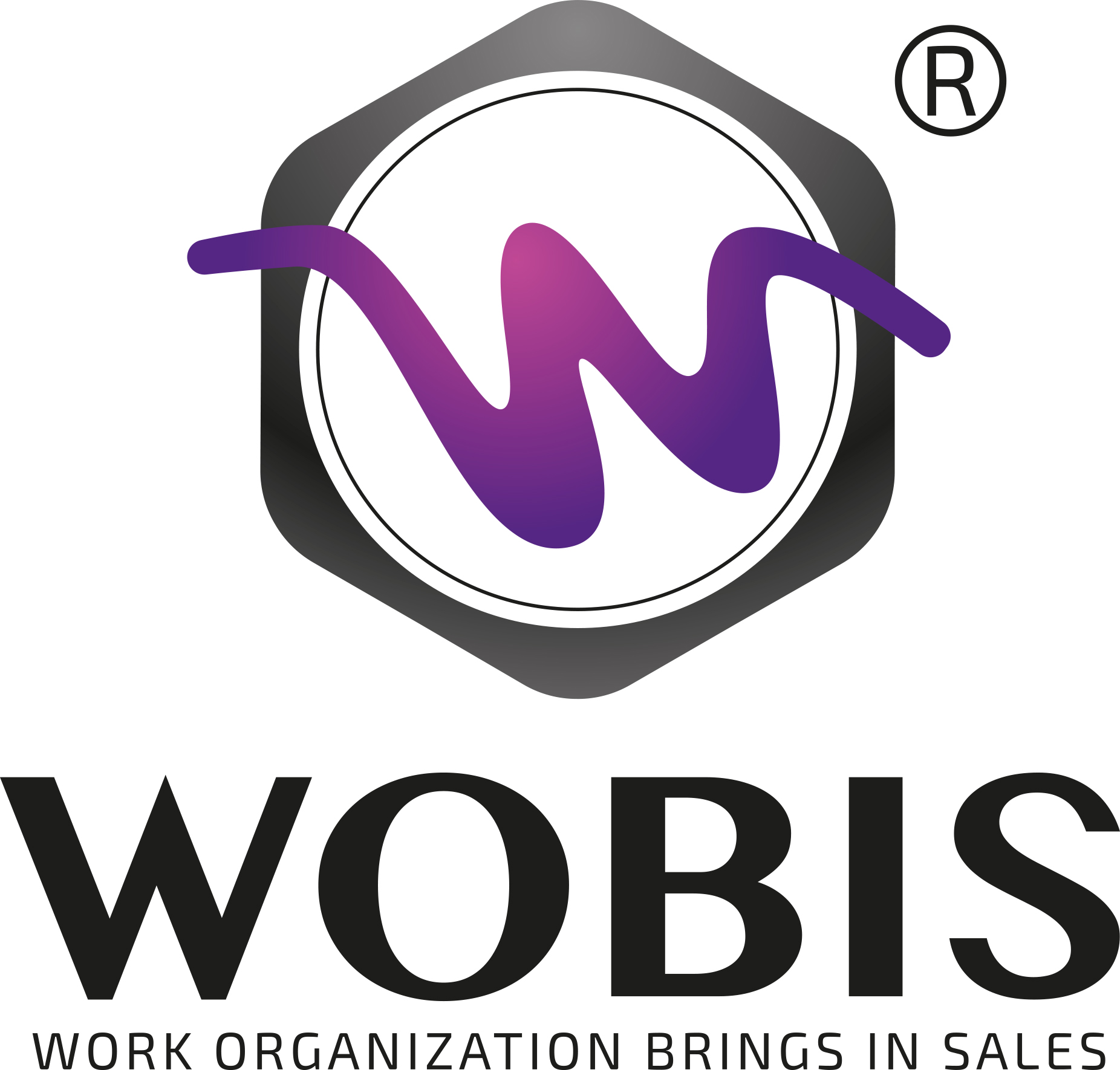WOBIS Logo